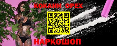 сатива Анжеро-Судженск