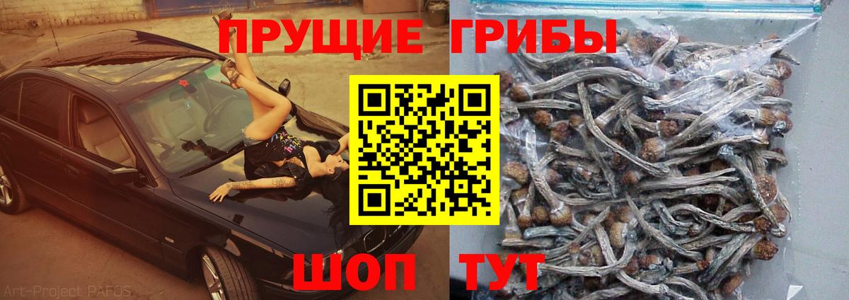 Галлюциногенные грибы ЛСД Артём
